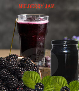 Premium Mulberry Jam – Formosa Brand | Made in Taiwan